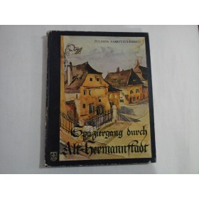 SPAZIERGANG DURCH ALT-HERMANNSTADT - Juliana Fabritius-DANCU